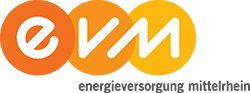 Logo: evm